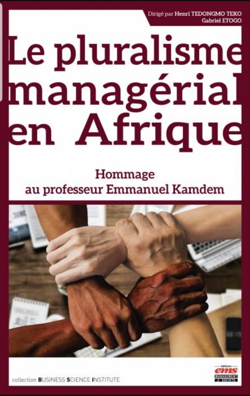 You are currently viewing Le pluralisme managérial en Afrique