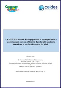 Lire la suite à propos de l’article La MINUSMA entre désengagements et recompositions : quels impacts sur son efficacité dans la lutte contre le terrorisme et sur le relèvement du Mali ?