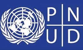 You are currently viewing Mission d’évaluation électorale des Nations Unies à Yaoundé