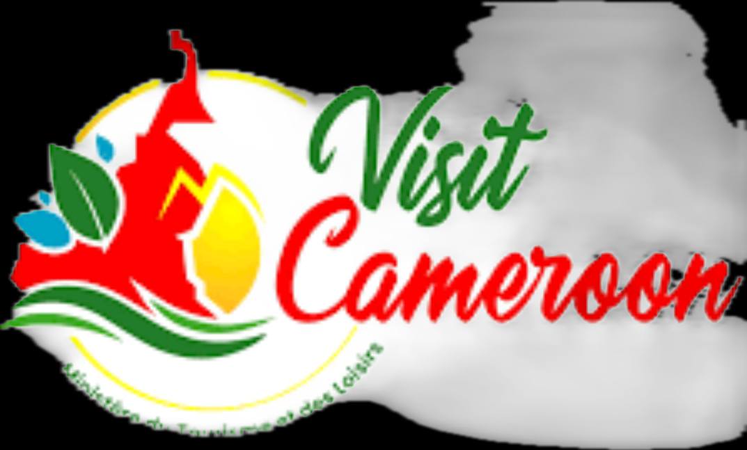 La gastronomie camerounaise dans l'environnement international : stratégie de valorisation d'un produit culturel exceptionnel